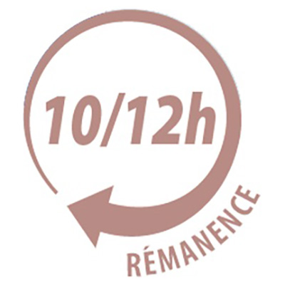 remanence1012